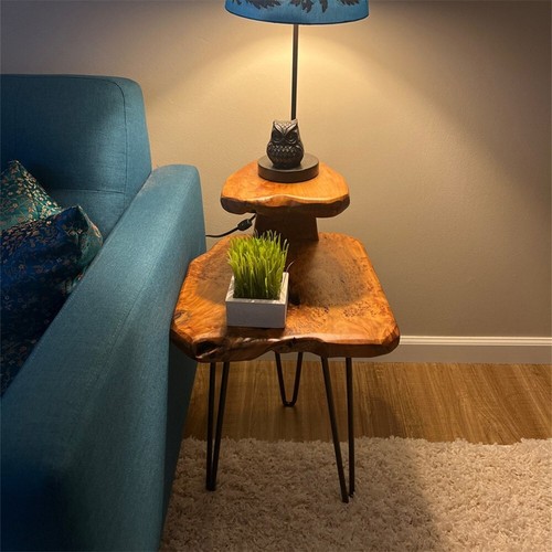 Rustic modern live - rustic,